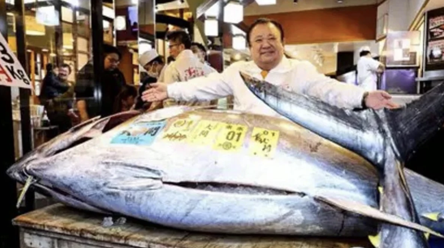 Tuna Sirip Biru Termahal di Dunia, Laku Rp53 Miliar Lebih di Lelang Perdana Tokyo